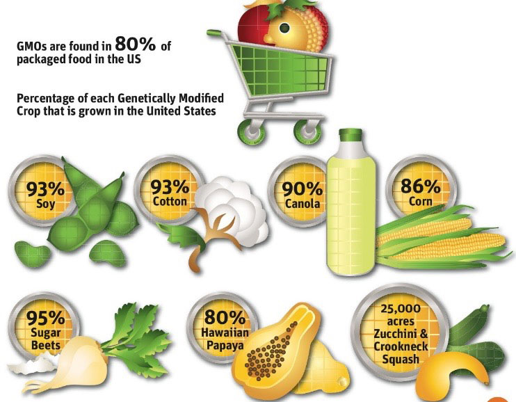 GMO percentages