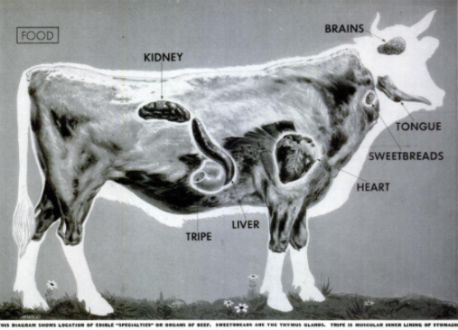 organ meats of a cow