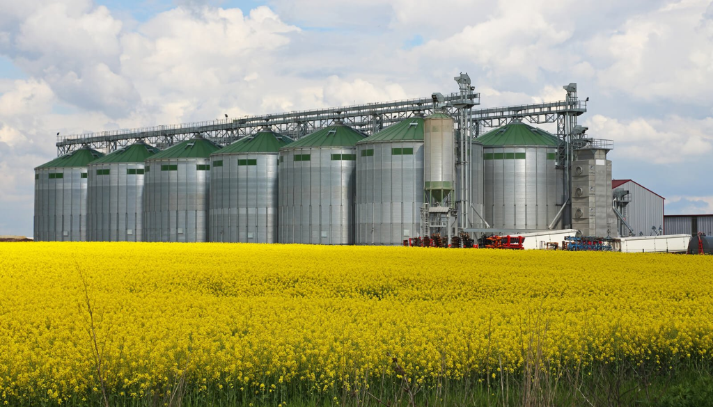 seed oil factory